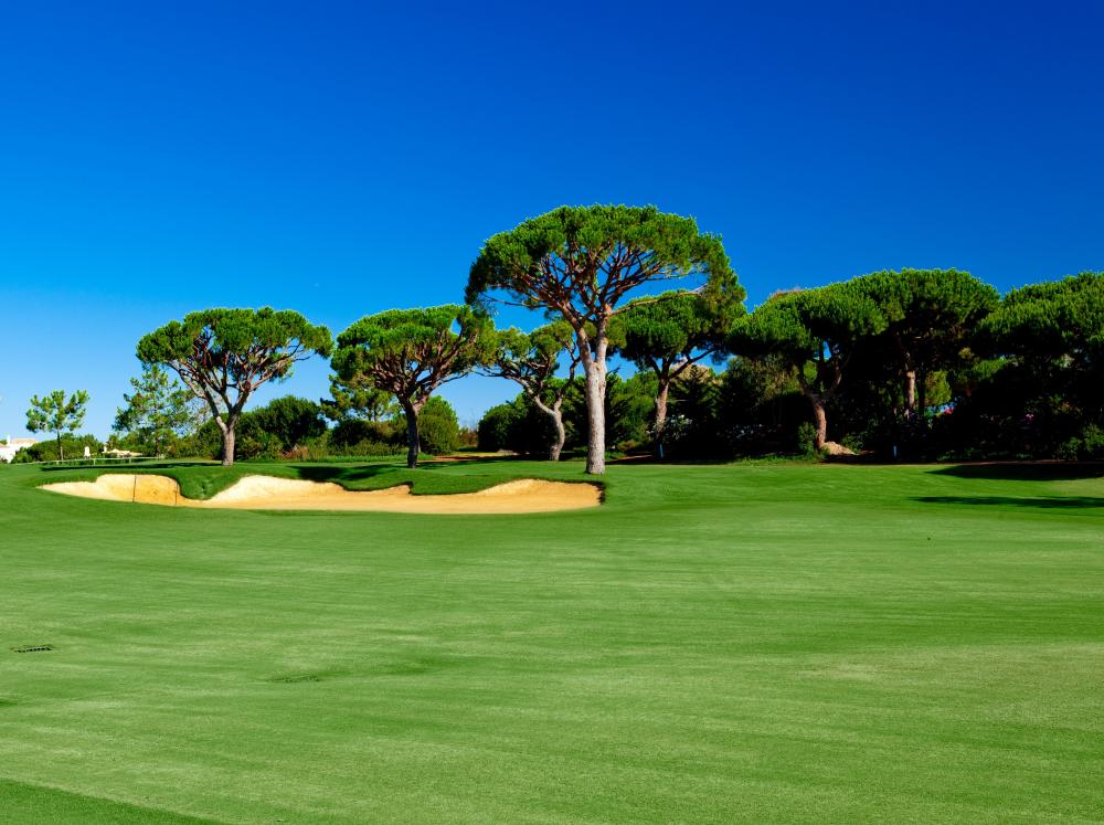 Visite um dos 30 campos de golfe no Algarve