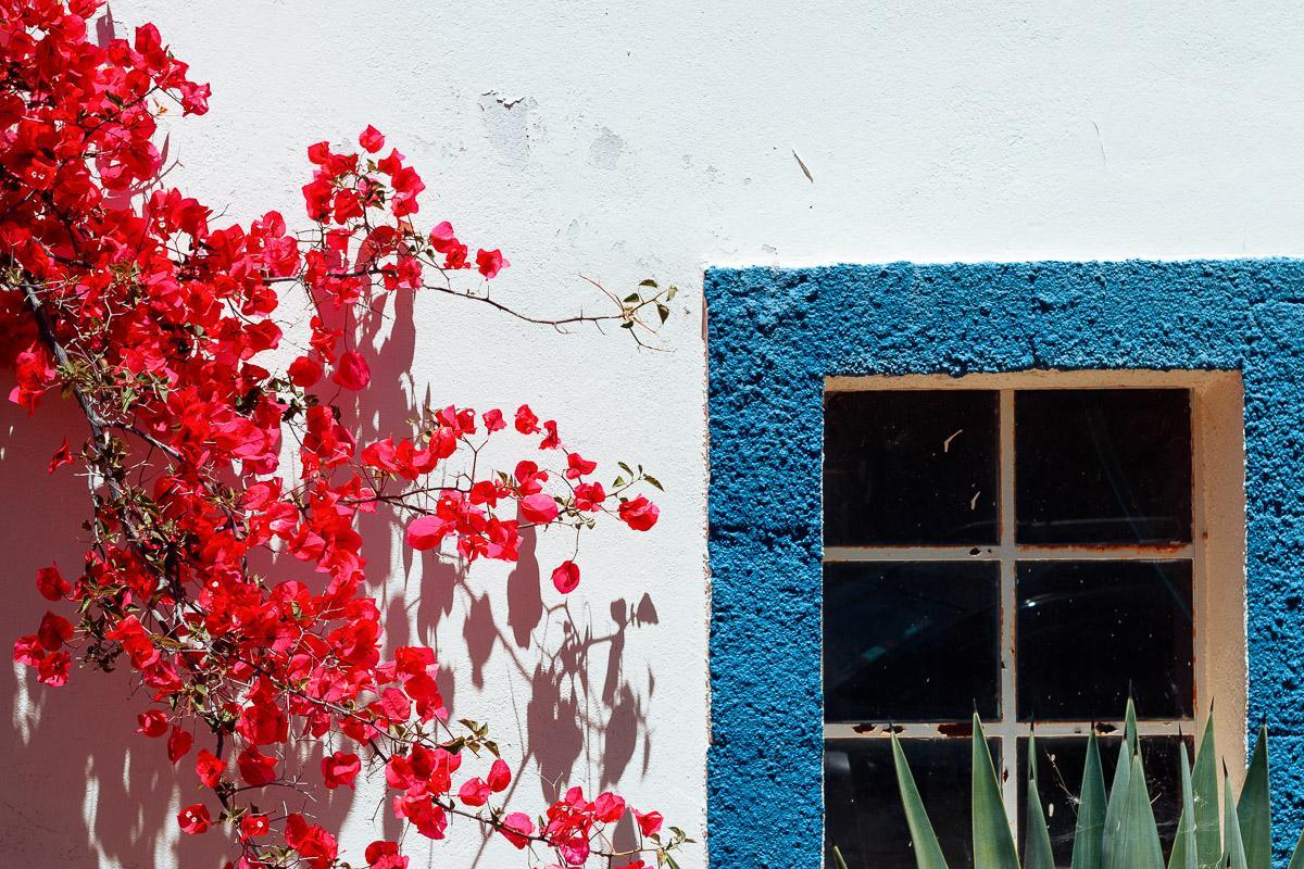 Casa Porta Azul B&B with colourful details