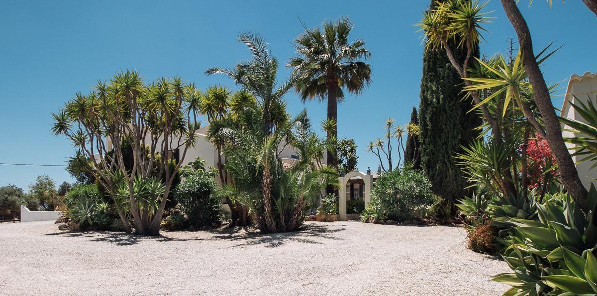 Garden with palmtrees Casa Porta Azul